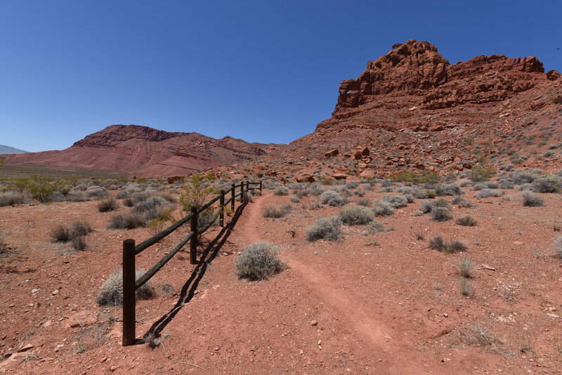 Padre Canyon Trail