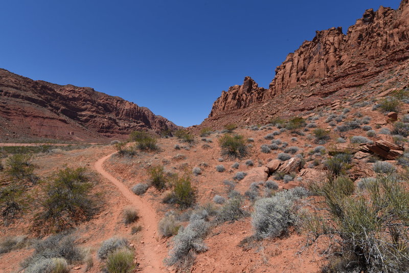 Padre Canyon Trail