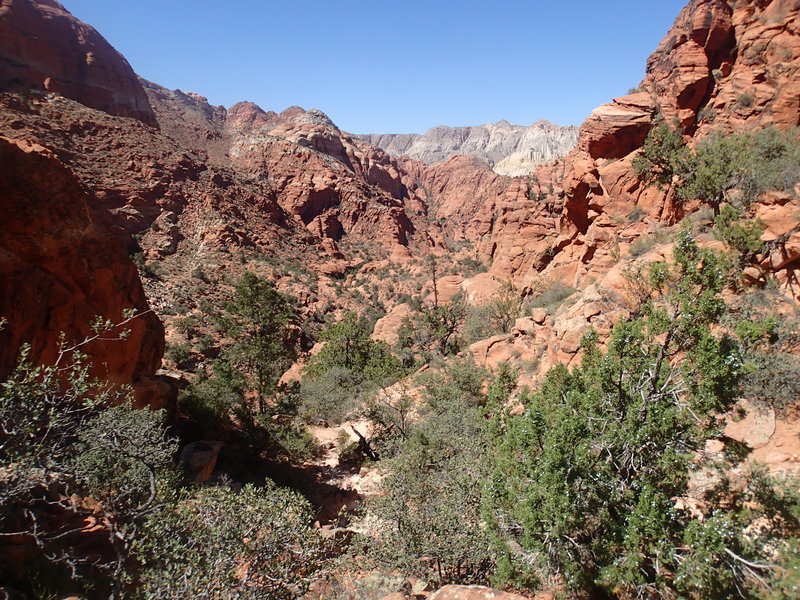 View from the saddle of Padre Canyon