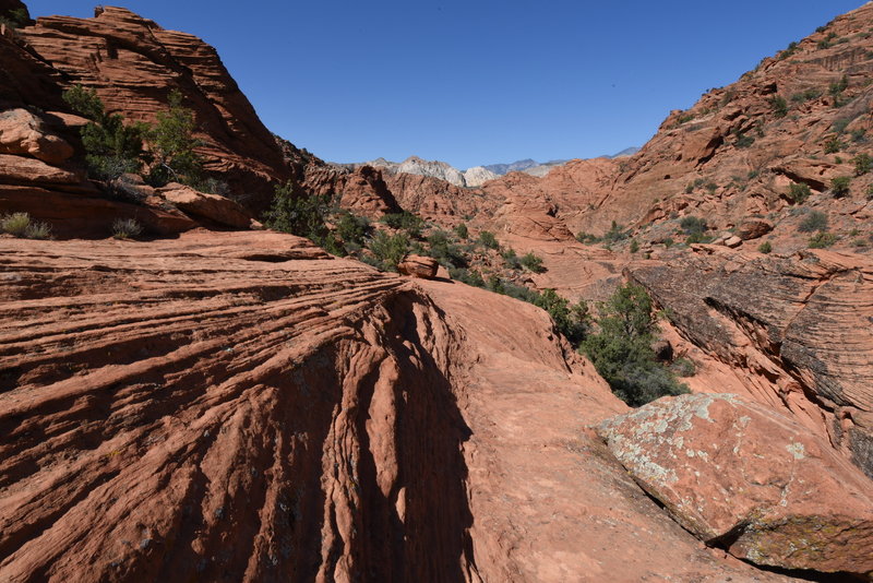 Padre Canyon Trail