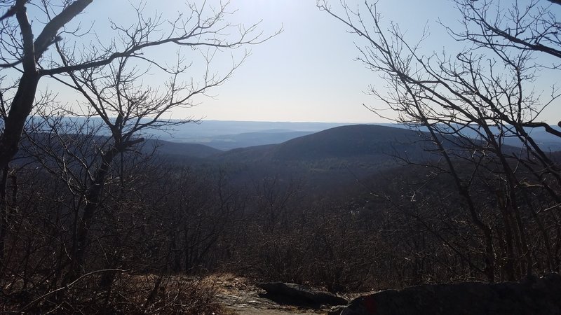 Looking east at the top of the eastern approach to Mount Frissell