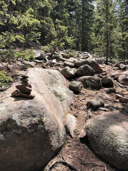 Cairns. These small piles of purposely stacked rocks mark the trail in this section. Pretty typical of what you'll find along most of the route to the summit.