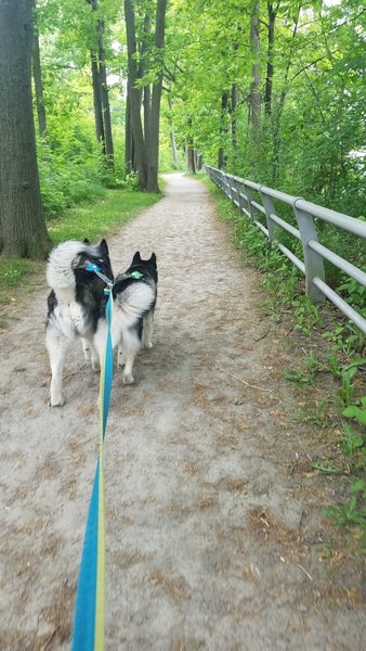 Devil's Hole Trail, well maintained, dog friendly!