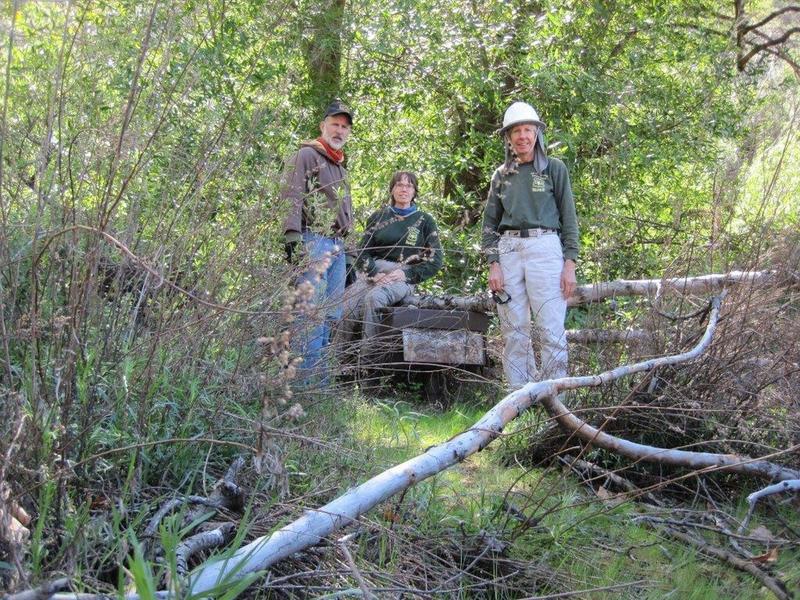 This is Tom Lucas Trail Camp in 2017. Only the stoves and fire rings still remain on this once popular spot.