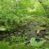 Highland Park Trail - somewhat abandoned and short - better for hiking or leaving to nature