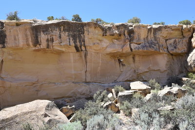 Petroglyphs from the trail