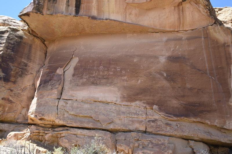 Petroglyphs from the trail