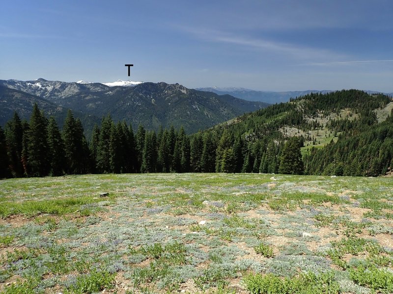 Thompson Peak (T) in the Trinity Alps Wilderness from the Deacon Lee Trail