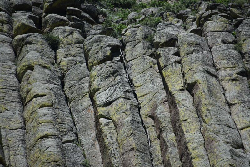 The wooden ladder used to climb Devils Towers years ago