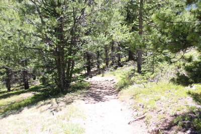 Watrous Gulch Trail