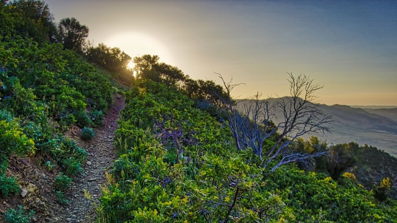 Sunrise over Eden