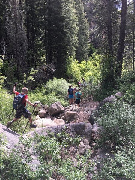 Boulder hopping at the start of the trail, just below FR231.