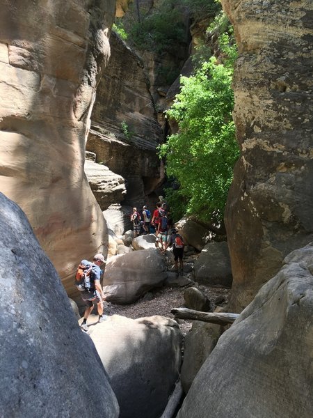 Eventually the canyon narrows creating some breathtaking scenery.