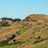 Sibley Volcanic Regional Preserve