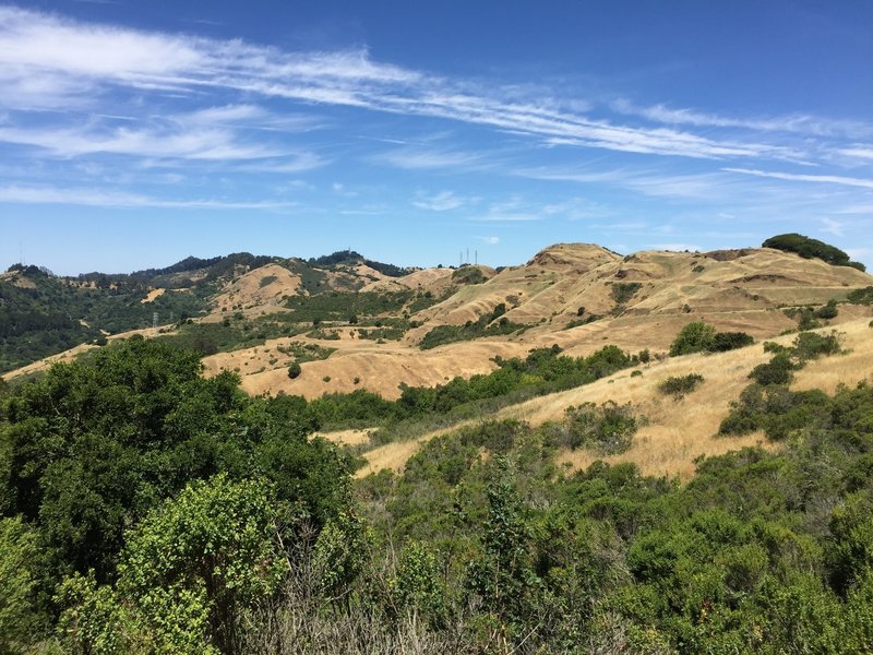 Rolling grass hills