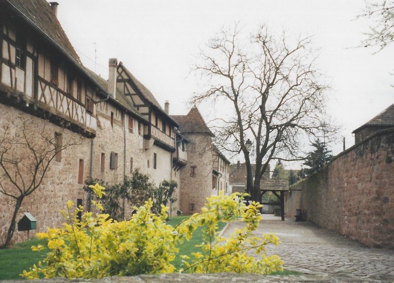 The medieval town of Riquewhir in the spring