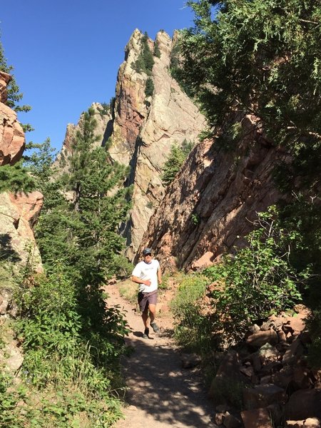 Railroad cut on the Fowler Trail