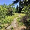 Bald Mountain Trail section between the North Vista and the Peak.