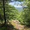 Small vista on the southern side of the Bald Mountain.