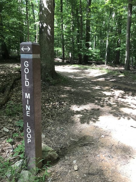 Gold Mine Loop starting at Lock 16 Spur