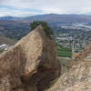 Top of Rooster Comb