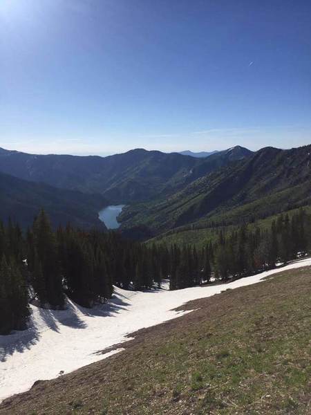 Upper Palisades Lake in the distance. Hard to believe the lake is over a mile long when seen from this distance.