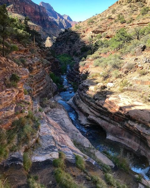 Bright Angel Creek flowing below the Old Bright Angel Trail just North of Manzanita.