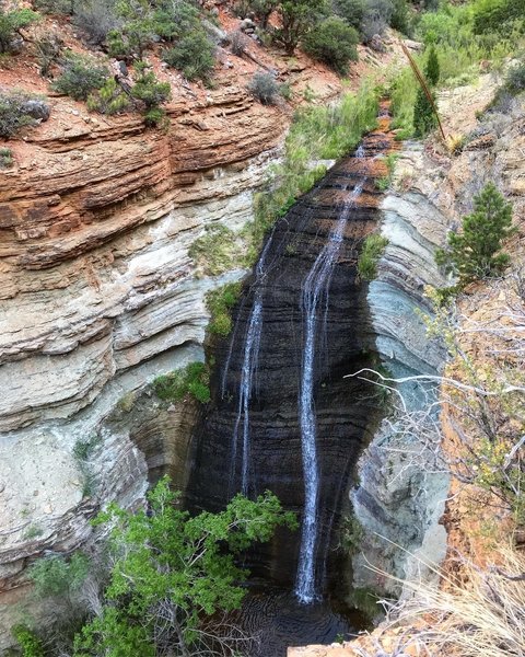 The Grandest of Canyons is full of beauty around every twist and turn.