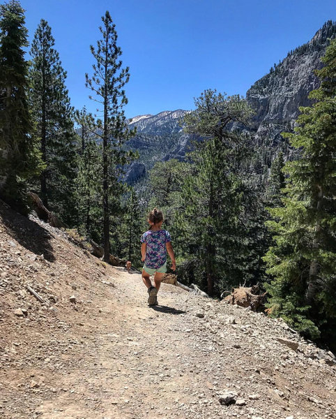 Fun Family hike!