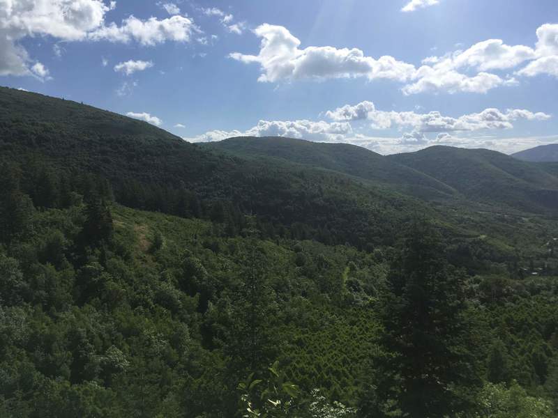 Scenic view on the way to the top