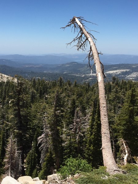 Looking back over the Wrights Lake area, west from the trail from Hemlock Lake to Smith Lake.