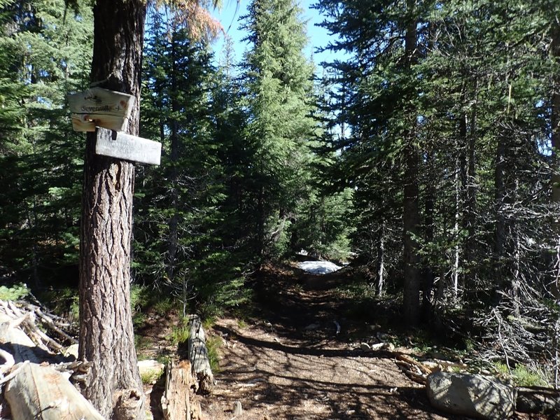 The PCT/Sevenmile Marsh Trail junction; the trail to Ranger Spring is just north of here.