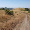 Golden Hills of California