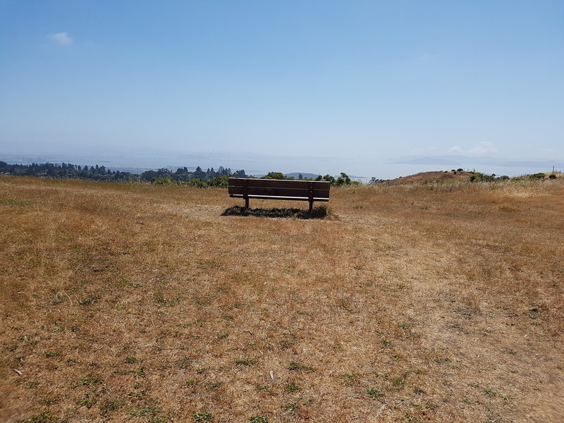 Best views of San Francisco, Berkeley, Marin, Golden Gate and Bay Bridge from this bench