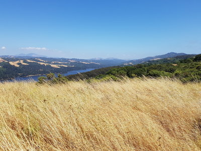 San Pablo Reservoir
