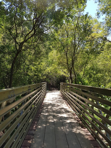 Beautiful trail along the creek