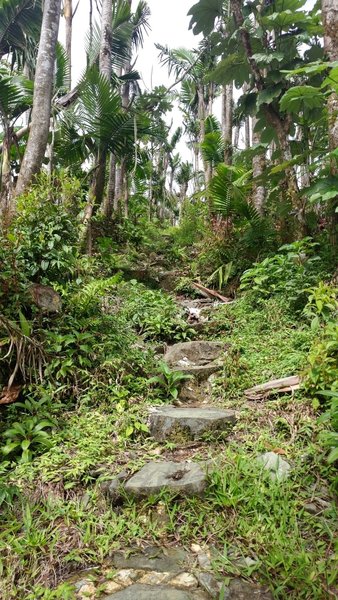 The staircase section at the top of the trail.