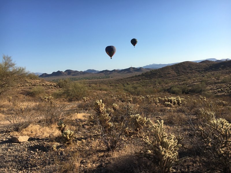 Hot Air Balloons over the Dixie Mountain Loop trail
