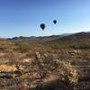 Hot Air Balloons over the Dixie Mountain Loop trail