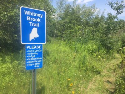 Whitney Brook Trail entrance from Cross Street