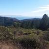 View of ocean from trail