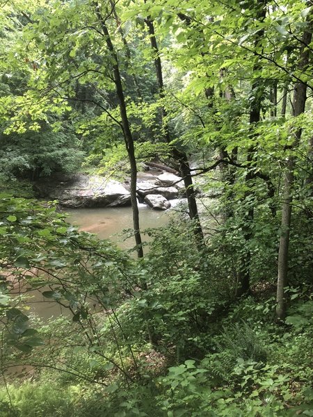 Some small falls along Brice Run, not too far north from where you cross over.