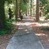 Looking toward the playground