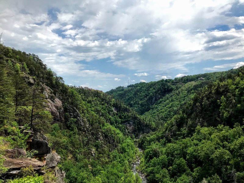 Looking east into the Gorge