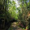 Old railroad line turned to trail