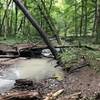 Beautiful creek, peaceful sound of running water.