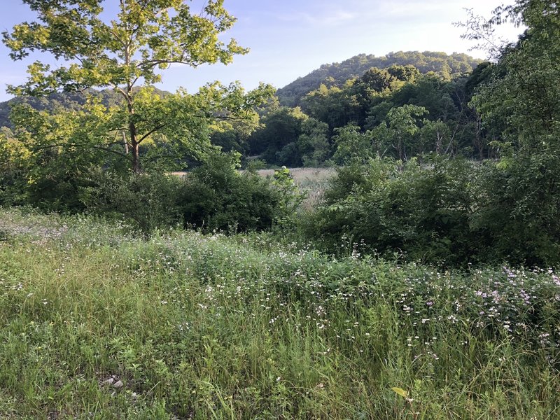 Loving the scenery on the Panhandle Trail