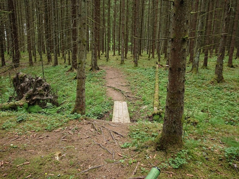 Plank bridge over stream crossing.