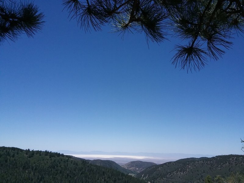 Looking west from the trail