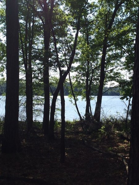 Fern Hollow Trail - White Oak Lake State Park - Arkansas